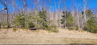Lot 19 Summit Dr, Rocky Mount, VA 24151