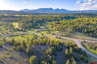 1781 Heritage Rd, Hesperus, CO 81326