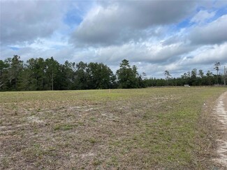 00 NE 108th Ct, Bronson, FL 32621
