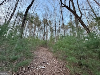 LTS 5,6,7 Mountain Springs Rd, Ellijay, GA 30540