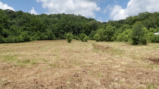 0 Lonnie Reecer Rd, Celina, TN 38551