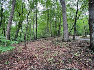 0 Sassafras Ct Unit 416099, Jasper, GA 30143
