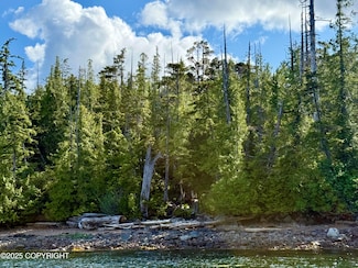 L8 B2 Gravina Island, Ketchikan, AK 99901