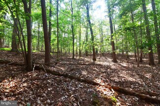 1310 Lakeview Dr, Cross Junction, VA 22625
