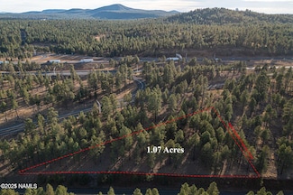 7175 W Naval Observatory Rd, Flagstaff, AZ 86001