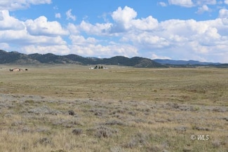 102 Ridgeline Dr, Westcliffe, CO 81252
