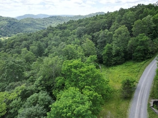 Lot 117 Sunset Mountain Village, Slaty Fork, WV 26291