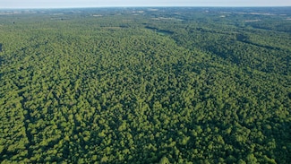 0 County Road 8370, South Fork Township, MO 65775