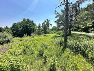 8385 Lower East Hill Rd, Colden, NY 14033