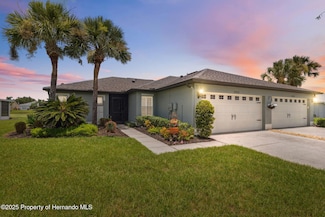 29533 Fade Ct, San Antonio, FL 33576