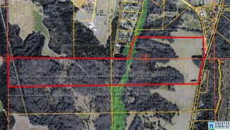 101.56 Acres County Road 37, Valley Grande, AL 36701