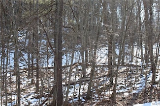 21 Deer Path, East Stroudsburg, PA 18302