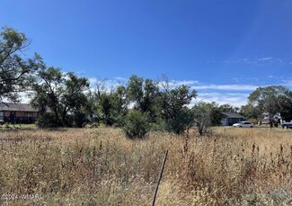 0 Tori Cir Unit 251554, Springerville, AZ 85938