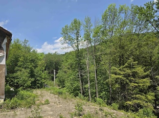 459 Sugar Hill Rd, Bethel, VT 05032