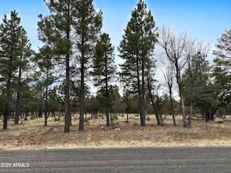 3431 Durango Dr Unit 205, Happy Jack, AZ 86024