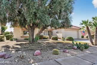 14111 W Circle Ridge Dr, Sun City West, AZ 85375