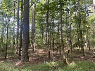 0 Smitherman Dr, Randolph, AL 36792