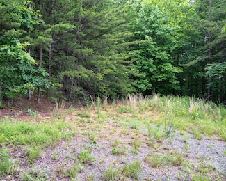 TBD Chicory Dr, Marion, NC 28752