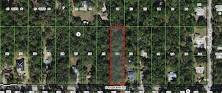 1191 E Bismark St, Hernando, FL 34442