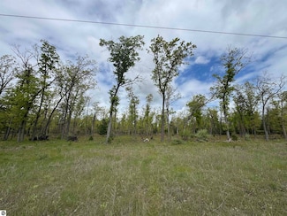 O Jose Rd, Omer, MI 48749