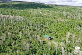 80 Sapling Ln, Craig, CO 81625