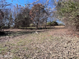 OFF Jefferson St, White Pine, TN 37890