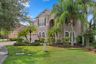 16122 Brecon Palms Place, Tampa, FL 33647