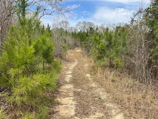 Hicks Rd, Rutledge, AL 36049
