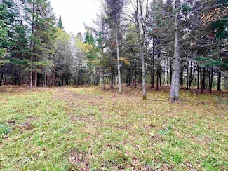 TBD Hollow Rd, Stewartstown, NH 03576