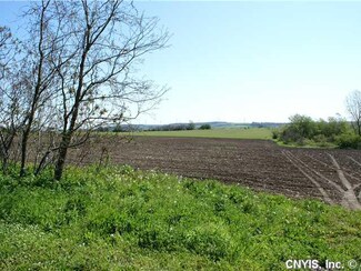 Lot 11 Irish Ridge Rd, Cazenovia, NY 13035