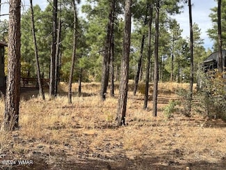 631 S Mountain Pines Ave, Show Low, AZ 85901