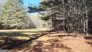 405 Bankstown Rd, Brooks, GA 30205