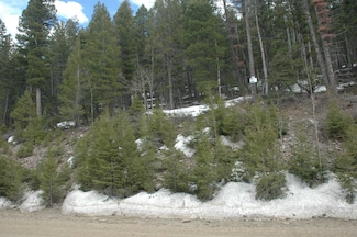 lot 147 chalets Back Basin Rd, Angel Fire, NM 87710