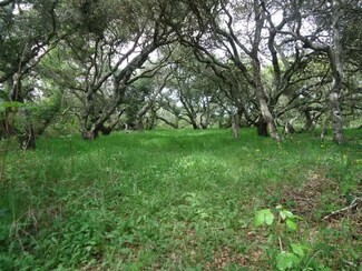 0 Wallace Ct Unit ML81309329, North Monterey County, CA 95004