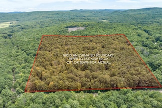 11 Phineas Graves Rd, Center Tuftonboro, NH 03816