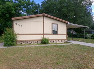 36790 Shadow Hill Dr, Fruitland Park, FL 34731