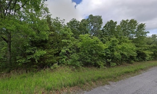 1004 Kansas Rd, Horseshoe Bend, AR 72512