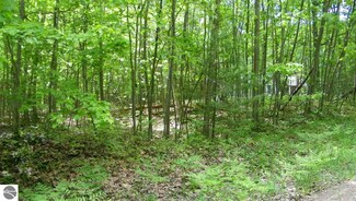 0 Westover Dr Unit 1847830, Oscoda, MI 48750