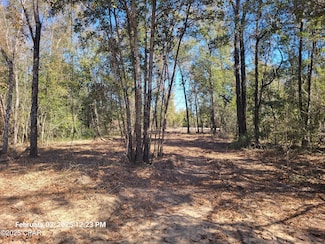 00 Womble Rd Unit Lot 7, Altha, FL 32421