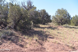 4211 Sorrel Rd, Snowflake, AZ 85937