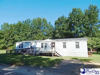 118 Long Branch Rd, Bishopville, SC 29010