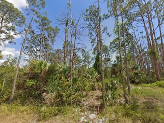 12605 Colby Ave, Port Charlotte, FL 33953