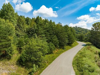 0 Clear Water Rd Unit 1293638, New Tazewell, TN 37825