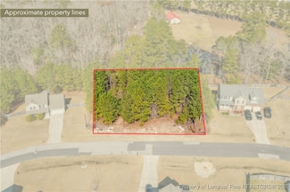 92 Carter Dr, Barbecue, NC 27332