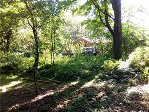 71 Honeywell Ln, Hyde Park, NY 12538
