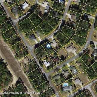 9996 N Sandree Dr, Citrus Springs, FL 34434