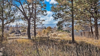 TBD Cascade Dr, Grand Junction, CO 81506