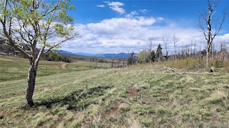 2334 Wohlstetter Loop, Fort Garland, CO 81133