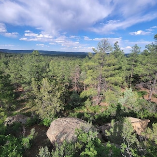 Unassigned Minehart Rd Unit 1133, Weston, CO 81091