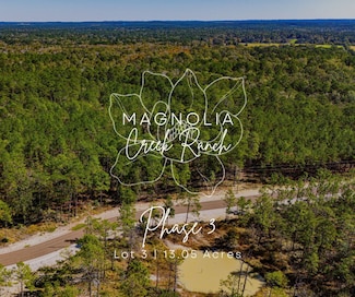 033 King Ranch Road Rd S, Onalaska, TX 77360